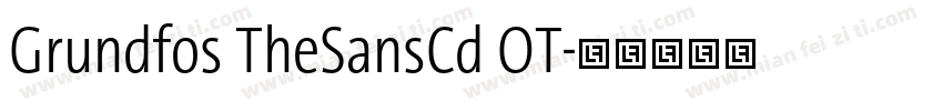 Grundfos TheSansCd OT字体转换